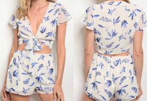 Ivory and Blue Feather Print Two Piece